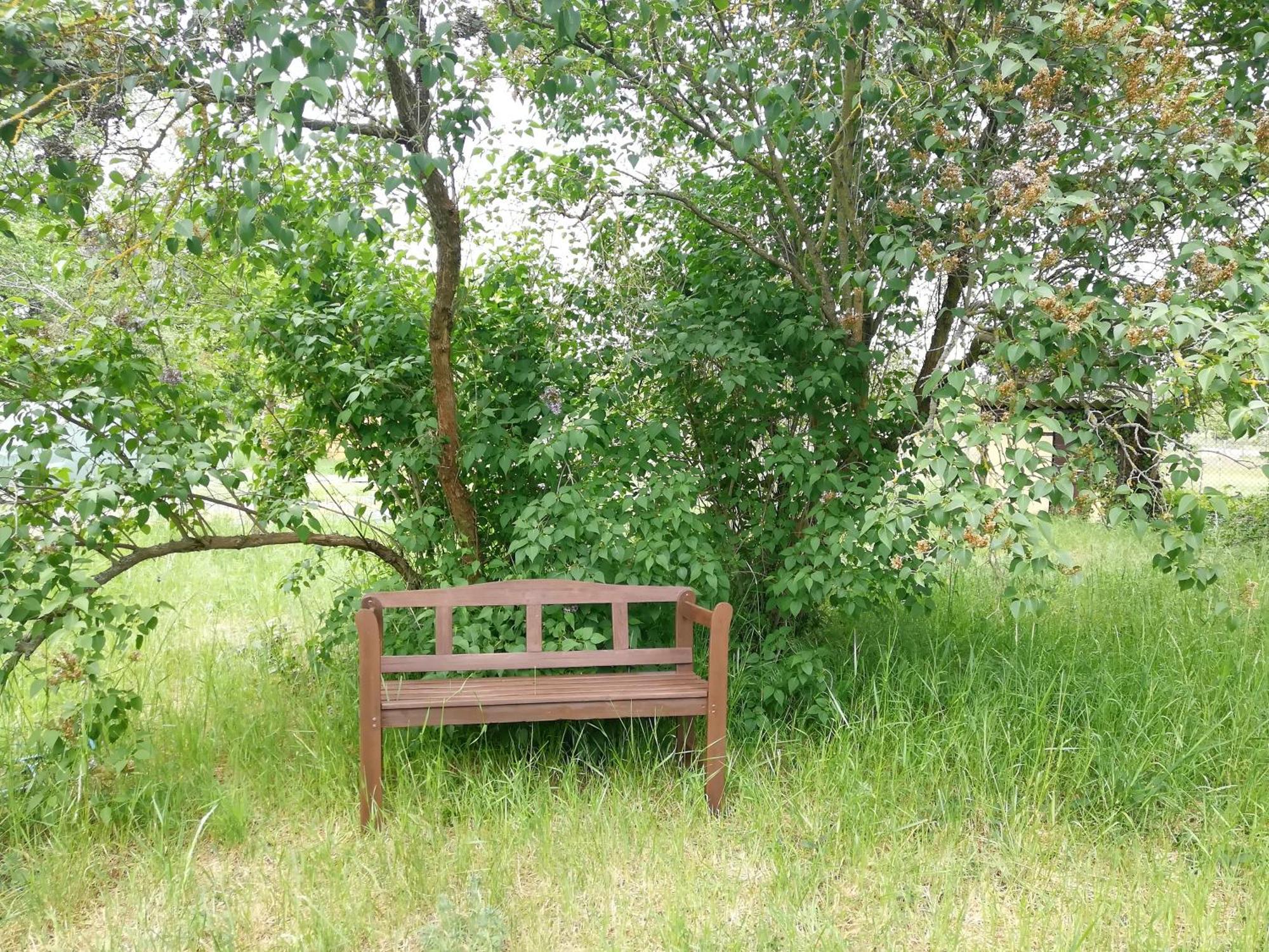 Ehemalige Bibliothek Apartment Fuer 2 Mit Kueche Kamin Netflix Parken Und Hofladen Steinhofel Extérieur photo